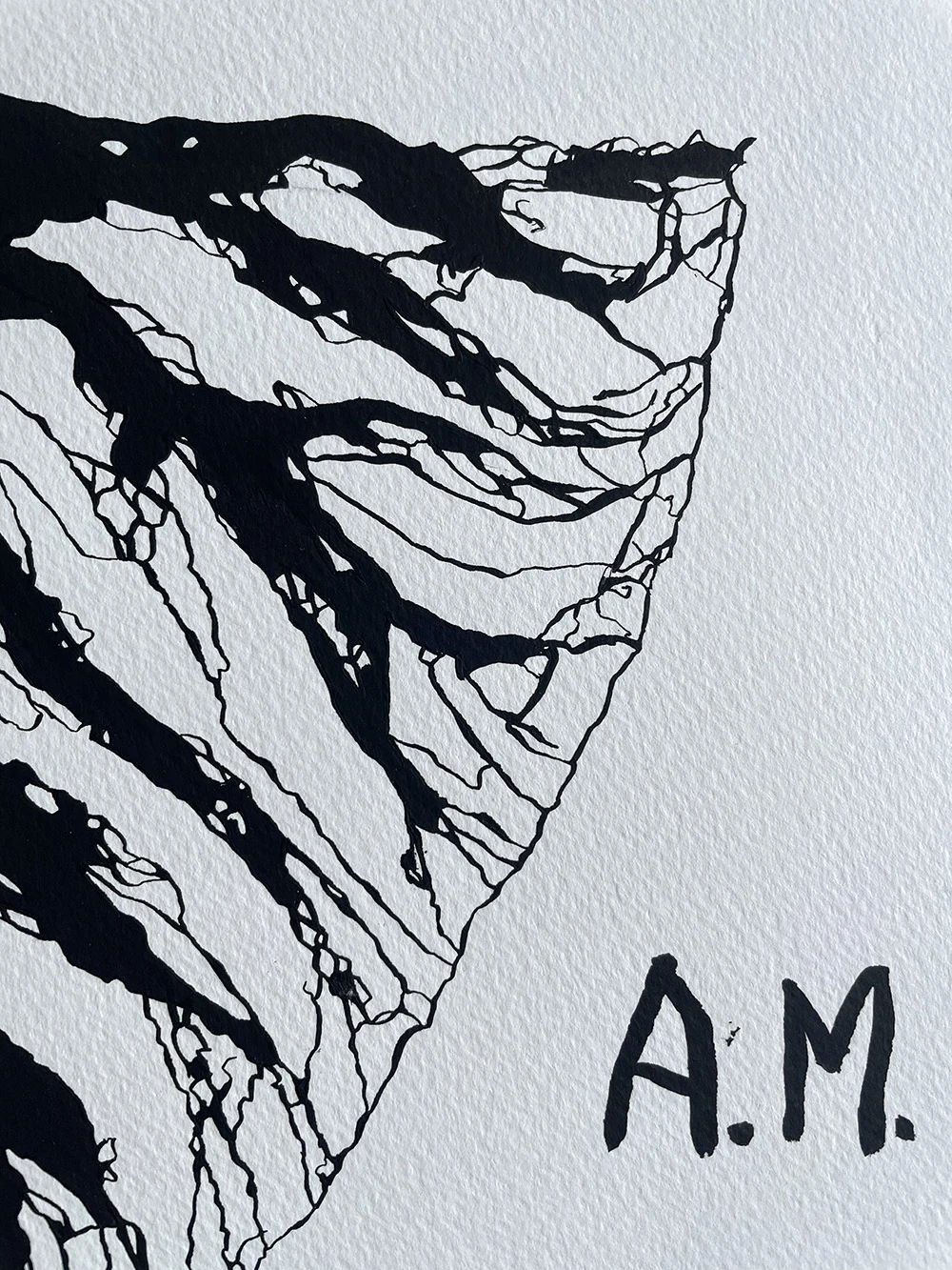 High-resolution detail of roots, paper and artist signature