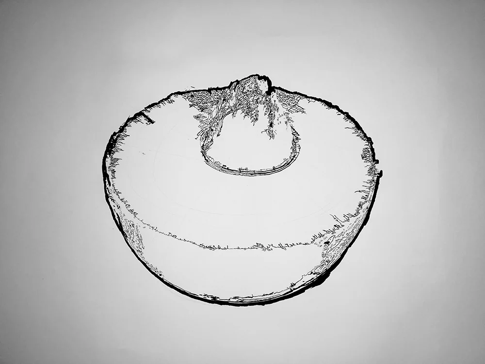 Early stage of Seed of Eternity