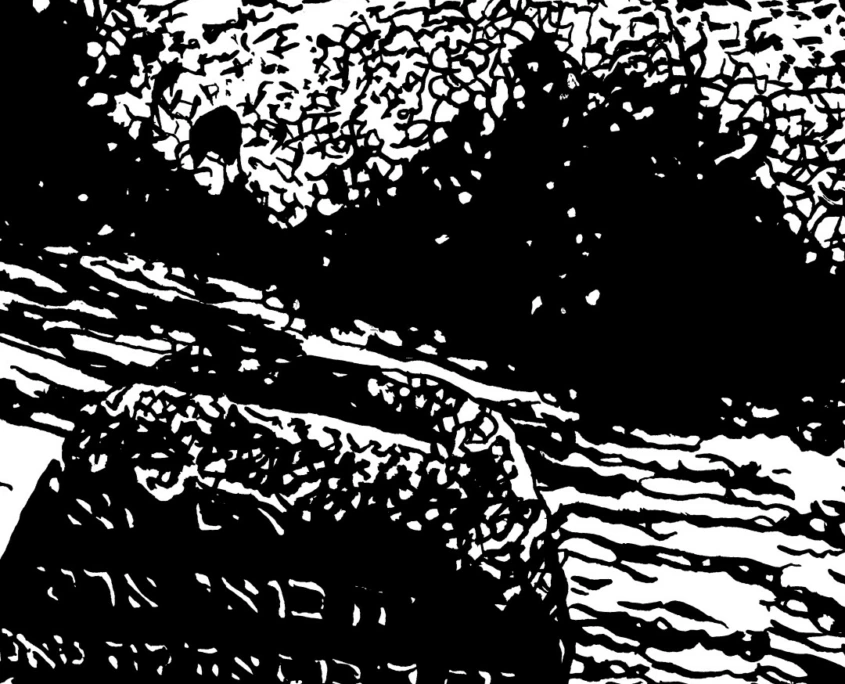 Archived web image of The Vanished, 2022